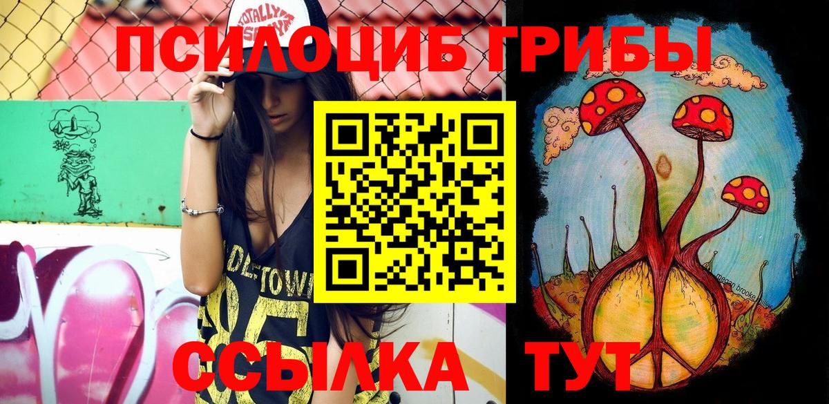 Псилоцибиновые грибы Magic Shrooms Петропавловск-Камчатский