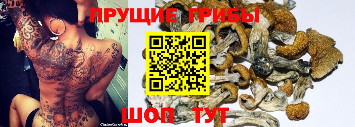 Псилоцибиновые грибы MAGIC MUSHROOMS  Галлюциногенные грибы Psilocybe  Вход с VPN  Петропавловск-Камчатский 